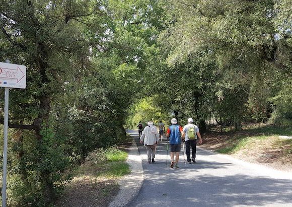 Via Amerina from Assisi to Todi