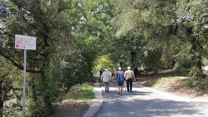 Via Amerina from Assisi to Todi