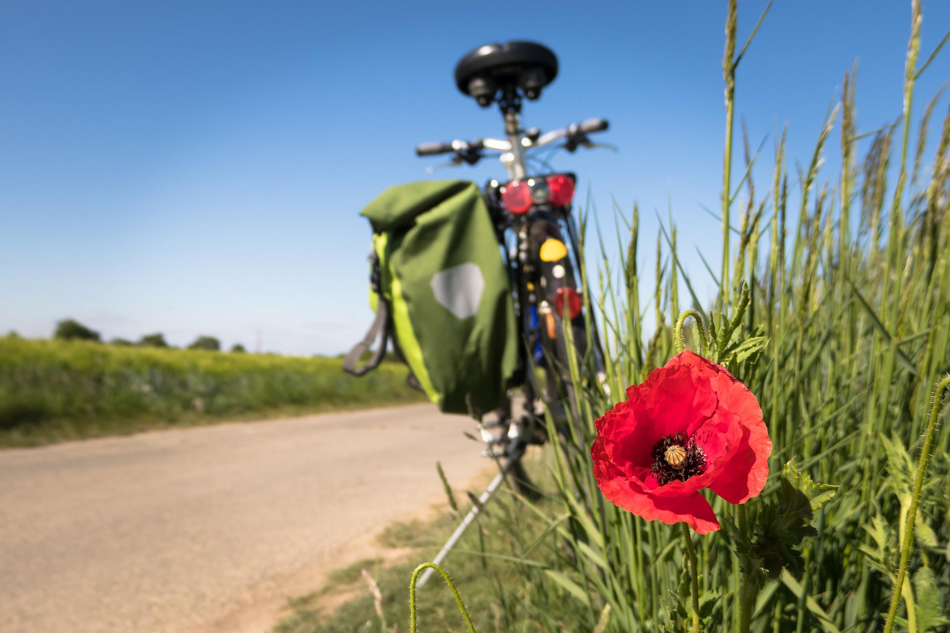 Rutas en bicicleta